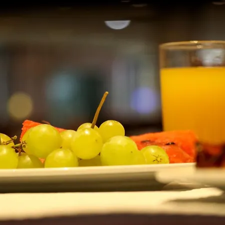 里斯本旅行公园酒店 3* Lisboa